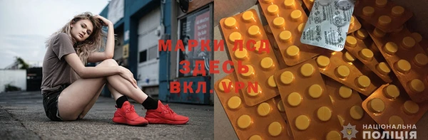 эйфоретик Баксан